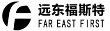 远东福斯特新能源有限公司