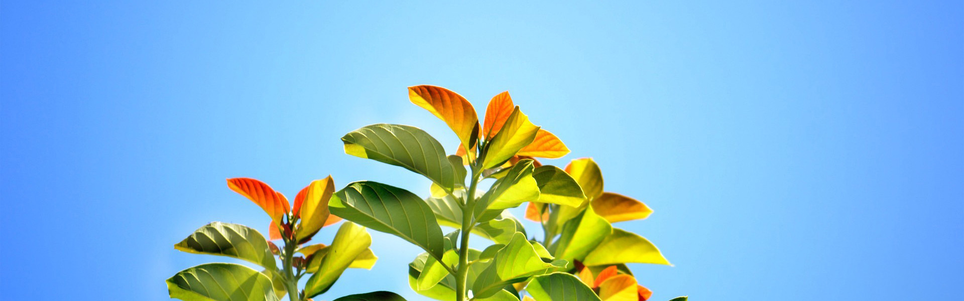 废气处理项目案例